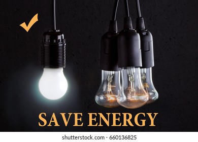  Different type of light bulb.Concept save energy