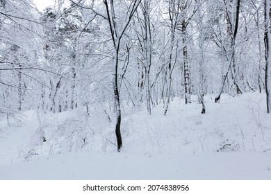 900 Blizzard Type Images, Stock Photos & Vectors | Shutterstock