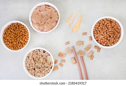 Different Types Of Cat Food In In Bowls On Grey Surface With Copy Space

