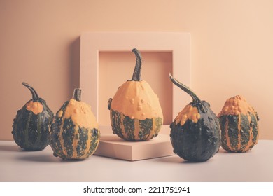 Different types of decorative pumpkins on the geometrical podium. Organic concept. Modern aesthetic. mockup with copy space. Natural tones.