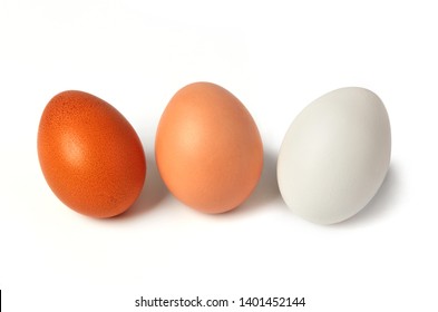 Different types of eggs  isolated on white