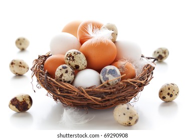 Different types of eggs in a  nest with feathers on a white background