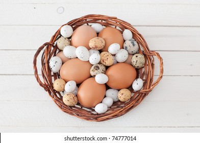 Different types of eggs in a nest with feathers on a white wooden background
