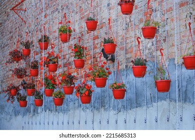 Different types of flowers grow in red pots hanging on chains. Metal construction. Home cultivation of potted plants. Home garden. Begonias and geraniums in flowerpot. Ornamental plants. - Shutterstock ID 2215685313