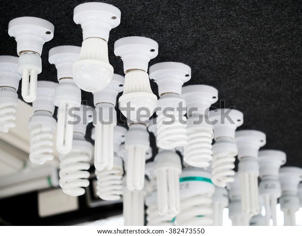 Different Types Fluorescent Led Light Bulbs Stock Photo