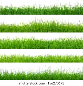 Different types of green grass  - Shutterstock ID 156270671