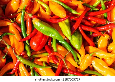 different types of hot pepper