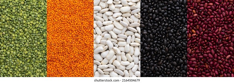 Different types of legumes banner, lentils and green peas, red, white and black beans, top view