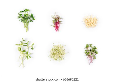 Different Types Of Micro Greens On White Background. Healthy Eating Concept Of Fresh Garden Produce Organically Grown As A Symbol Of Health And Vitamins From Nature. Microgreens Closeup.