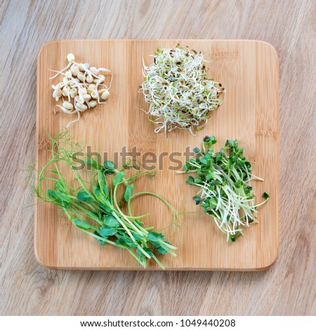 Different types of micro greens on wooden background. Healthy eating concept of fresh garden produce organically grown as a symbol of health and vitamins from nature. Microgreens ready for cooking.