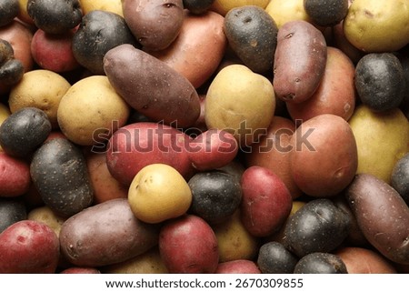 Different types of potatoes as background, top view