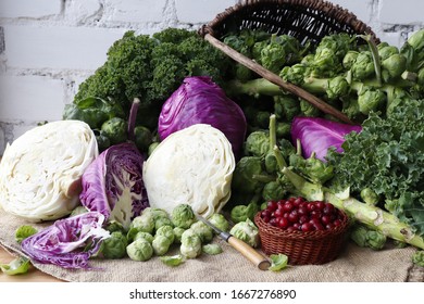 Different varieties of cabbage on a background of a white brick wall. Brussels sprouts, red, plain white and kale
