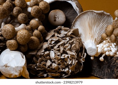 Different varieties of mushrooms such as Enoki, king oyster, maitake and shimeji placed together 
