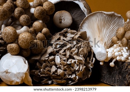 Different varieties of mushrooms such as Enoki, king oyster, maitake and shimeji placed together 