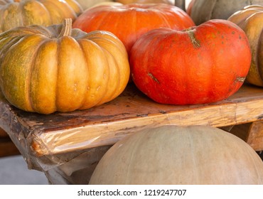Different varieties of squashes and pumpkins on a wooden table. Autumn collection