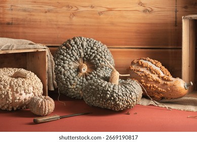 Different Varieties Of Warty Pumpkins And Squash Displayed On Table With Wooden Crates In Rustic Barn Interior