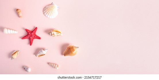 Different Various marine items on a pink background. Marine objects on a plain background. The concept of relaxation by the sea, holidays, holidays. Selective focus. Place for text. Toned image.