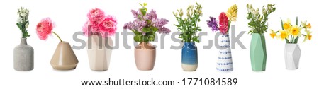 Different vases with beautiful flowers on white background