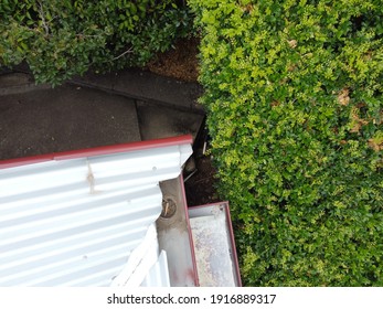 Different Viewpoint Of A Gutter And Roofing Of A Residential House With Hedges On Side