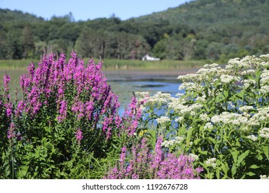 Different Views Of The Landscape In Vermont 