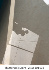  a different way of perceiving the reflection.