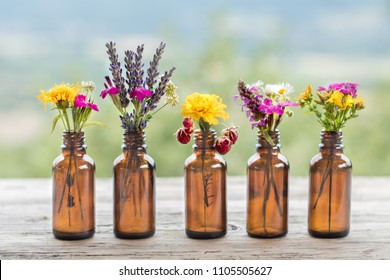 Different wildflowers bottle natural rustic background. Ayurveda Alternative Medicine Spa Wellness Herbal Health Wellbeing Aromatic Aromatherapy Phytotherapy Homeopathy Pharmacy Body Care Concept