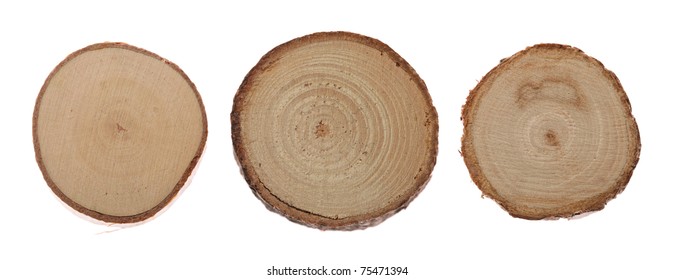 Different wood textures