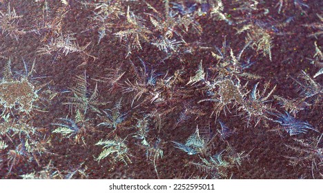 Diffuse. Frosty patterns on the paintwork. Nature does not do her work according to a single pattern; she prides herself on her ability to vary.
