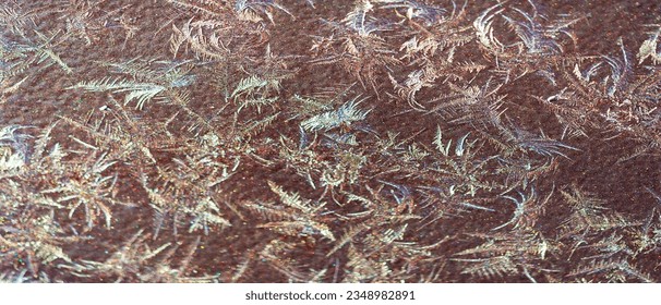 Diffuse. Frosty patterns on the paintwork. Nature does not do her work according to a single pattern; she prides herself on her ability to vary.