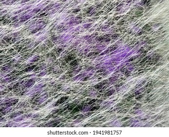 Diffuse Textile Fibers Background Stock Photo 1941981757 | Shutterstock