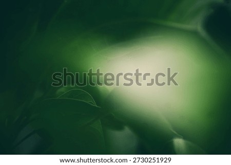 Diffused Green Light Through Leaves Declaring Glaucoma Vision Loss Concept For Medical Awareness Background Use