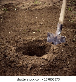 Dig a hole. Planting or searching.