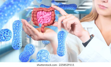 Digestive system. Doctor girl hands with intestines model. Probiotic cells for human digestion. Useful microorganisms for treatment of intestines. Microflora gastrointestinal tract. Probiotic climate - Shutterstock ID 2258529111