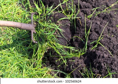 Digging Of Green Manure