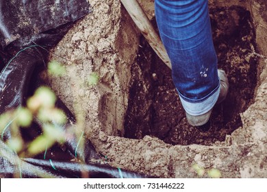 Digging Pet Grave For Cat In Sand : Spade And Person 