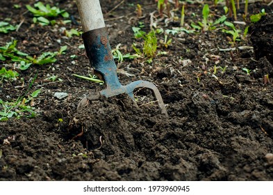 digging with pitchfork in the garden or allotment - Powered by Shutterstock