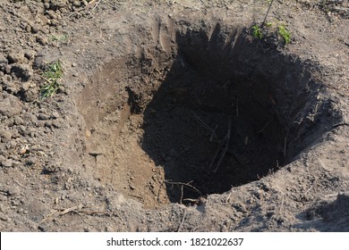 Digging A Round Big Hole Spare Enough For Roots To Plant A Tree In Autumn. 