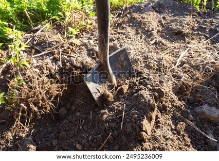 Digging soil in garden. Shovel Digs Hole. Dig out weeds completely by Shovel, Dig out roots in soil on farm field. Remove Grass, Weeds For Planting. Gardener is digging soil in garden. Removing weeds