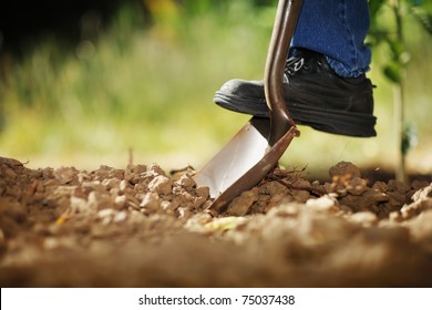 Digging spring soil with shovel. Close-up, shallow DOF.
