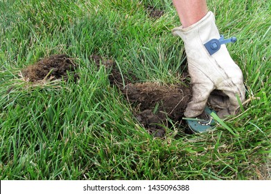 7,283 Irrigation worker Images, Stock Photos & Vectors | Shutterstock