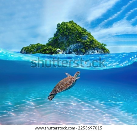 Digital art of a sea turtle swimming in the ocean, in front of a tropical island in summer.

This artwork is inspired by the beauty of the tropical ocean and marine life. 商業照片 © 