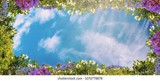 Digital ceiling fresco with colorful flowers and blue beauty sky with clouds. Natural sunny background