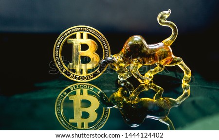 Digital coin money model Bitcoin 
้and Bull model Lay on the reflective glass floor. Concept  price trend of the BTC. coin value will  uptrend or downtrend with a bull model.