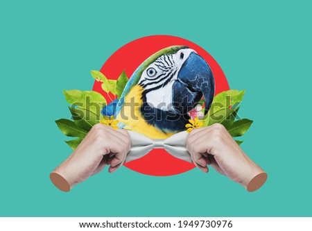 Digital collage modern art. Macaw head, with hands tying bow
