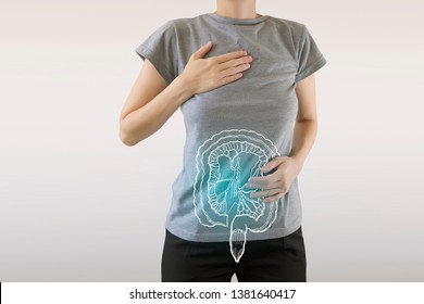 Digital composite of highlighted blue healthy intestine of woman / health care & medicine concept