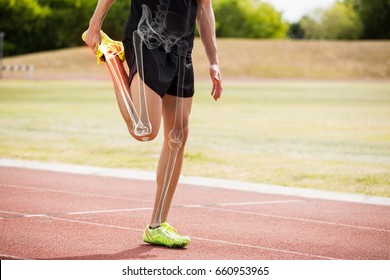 Digital composite of highlighted bones of athlete man stretching on race track - Powered by Shutterstock