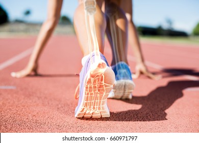 Digital Composite Of Highlighted Bones Of Man About To Race