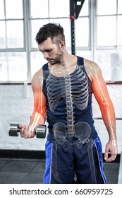 Digital Composite Of Highlighted Bones Of Strong Man Lifting Weights At Gym