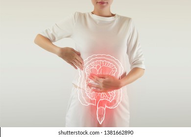 Digital composite of highlighted red painful intestine of woman / health care & medicine concept