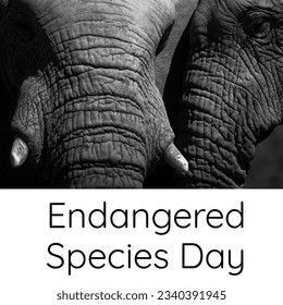 Digital composite image of elephants trunks and endangered species day text on white background. copy space, animal, protection and awareness concept. - Shutterstock ID 2340391945